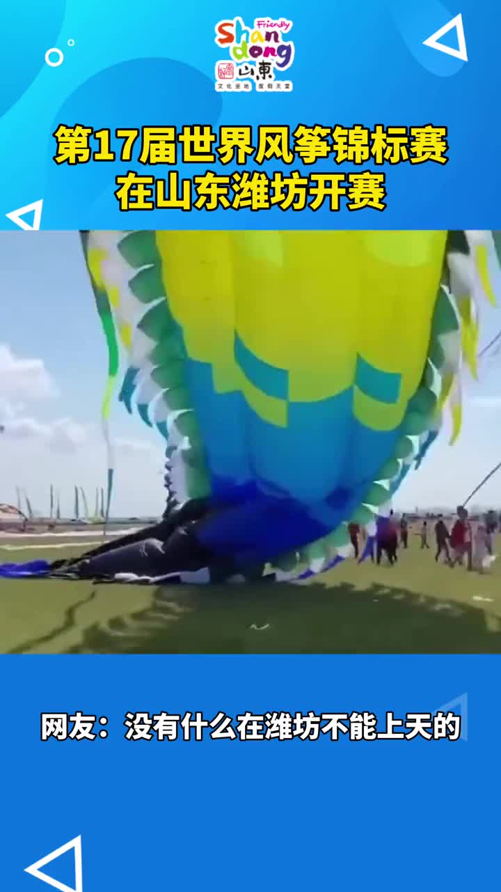 万物皆可飞看看