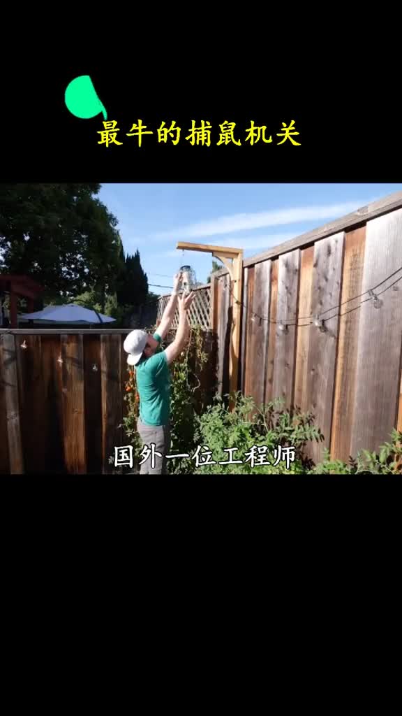 一个月过后不知道这只小松鼠会变成什么样