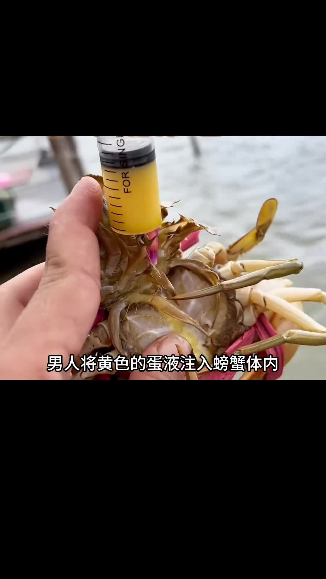 白象真的值得信赖