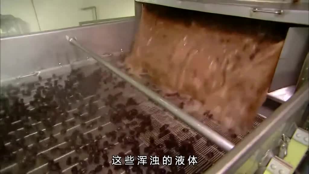 西梅是如何生产的