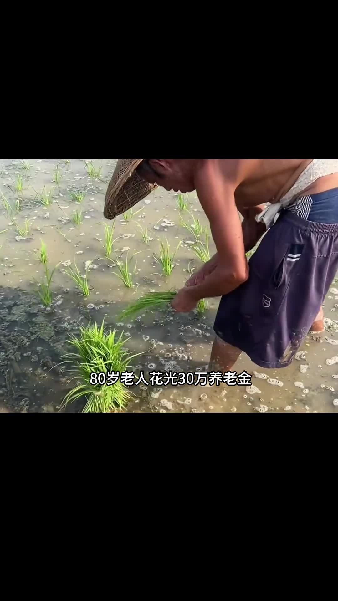 很多人都没吃过这样的好米