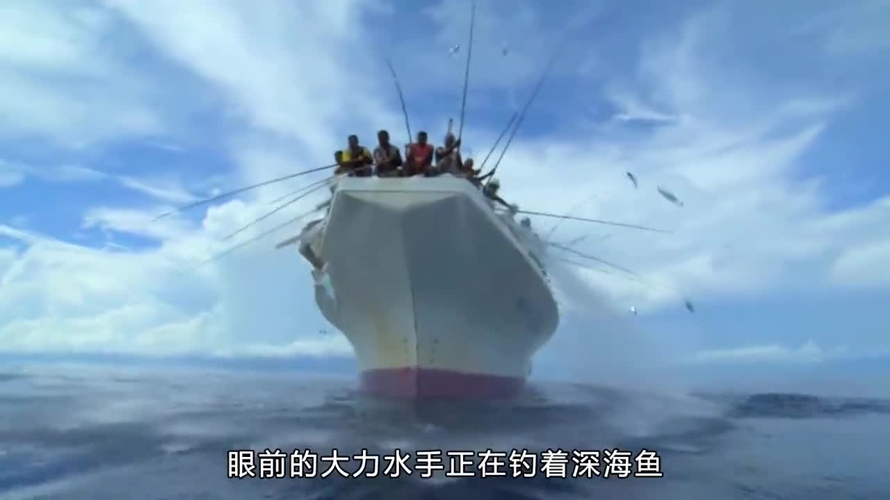 鱼油是如何制作的