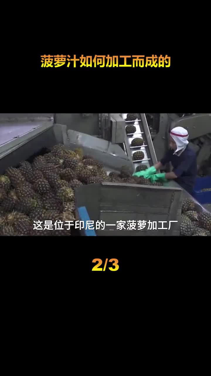 印尼加工厂如何每天加工上百万个菠萝