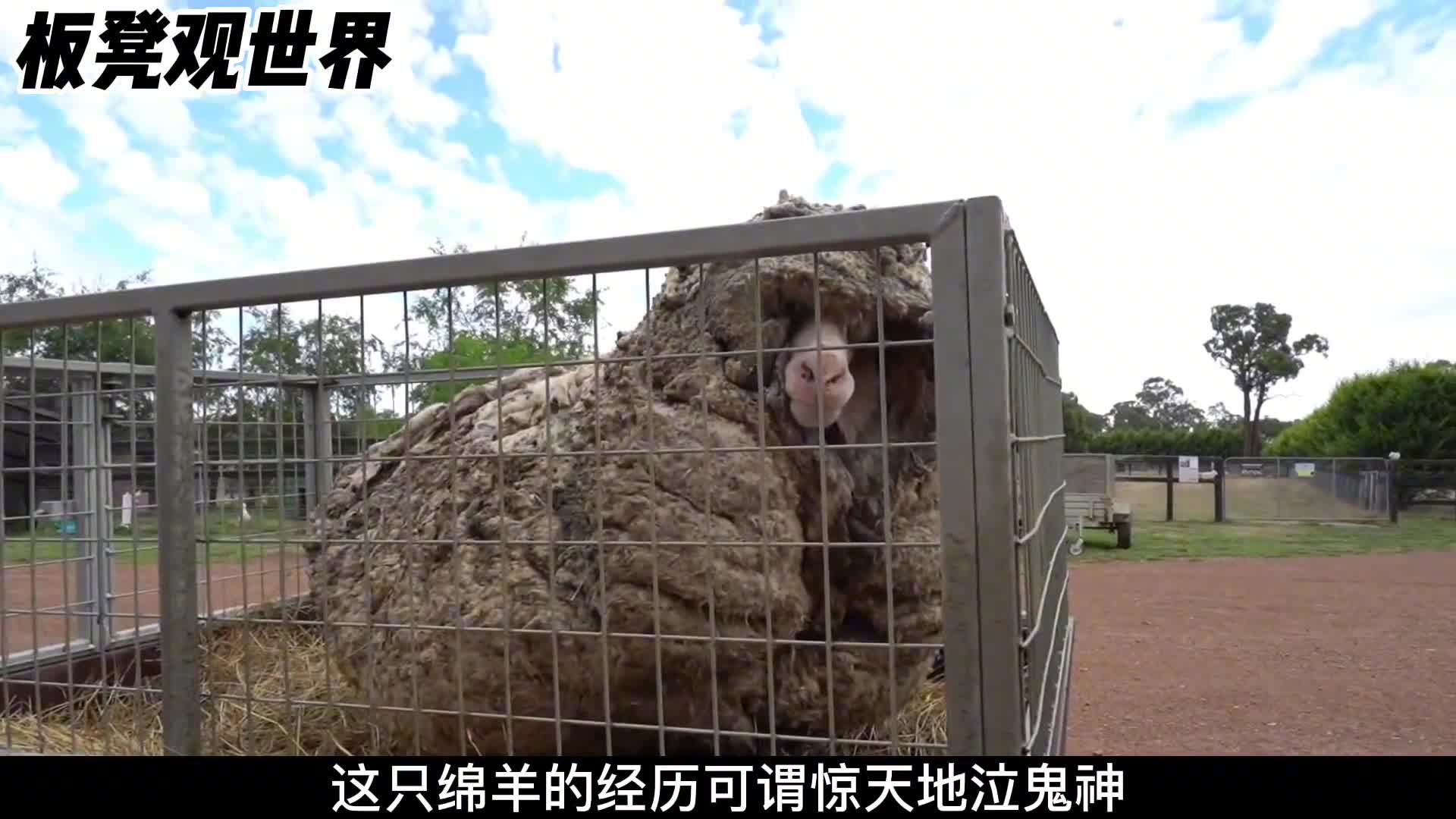 离家出走7年归来时彻底火了