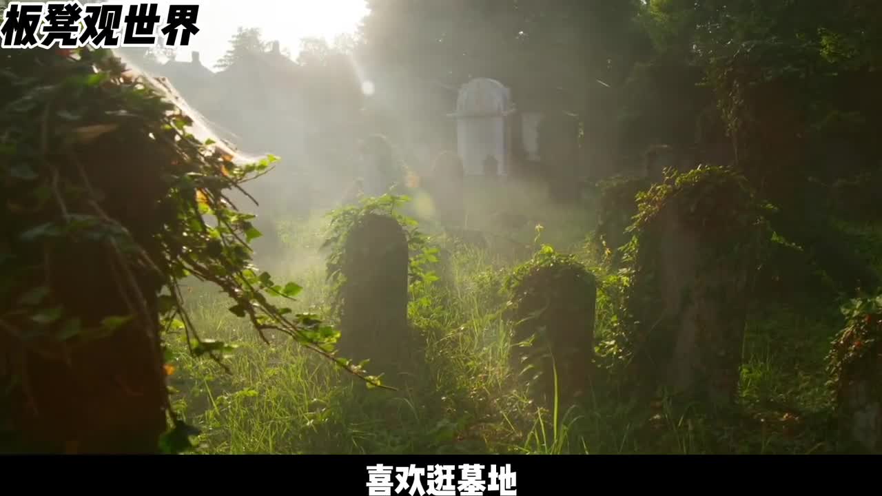 爱逛墓地的小动物原仓鼠