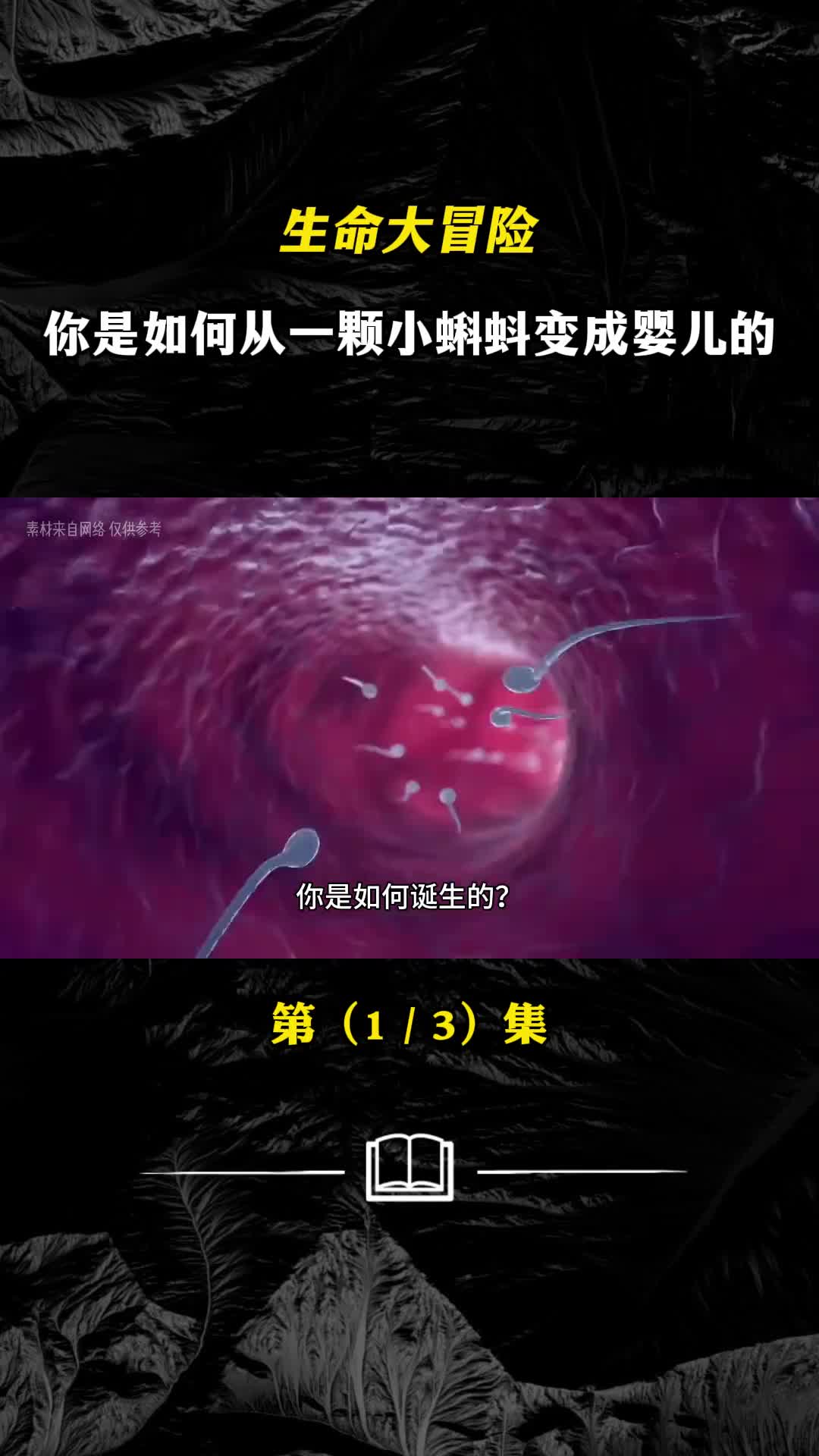 生命大冒险你是如何从一颗小蝌蚪变成婴儿的