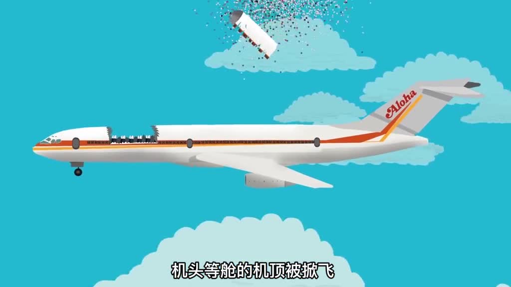 第23集重大飞机事故