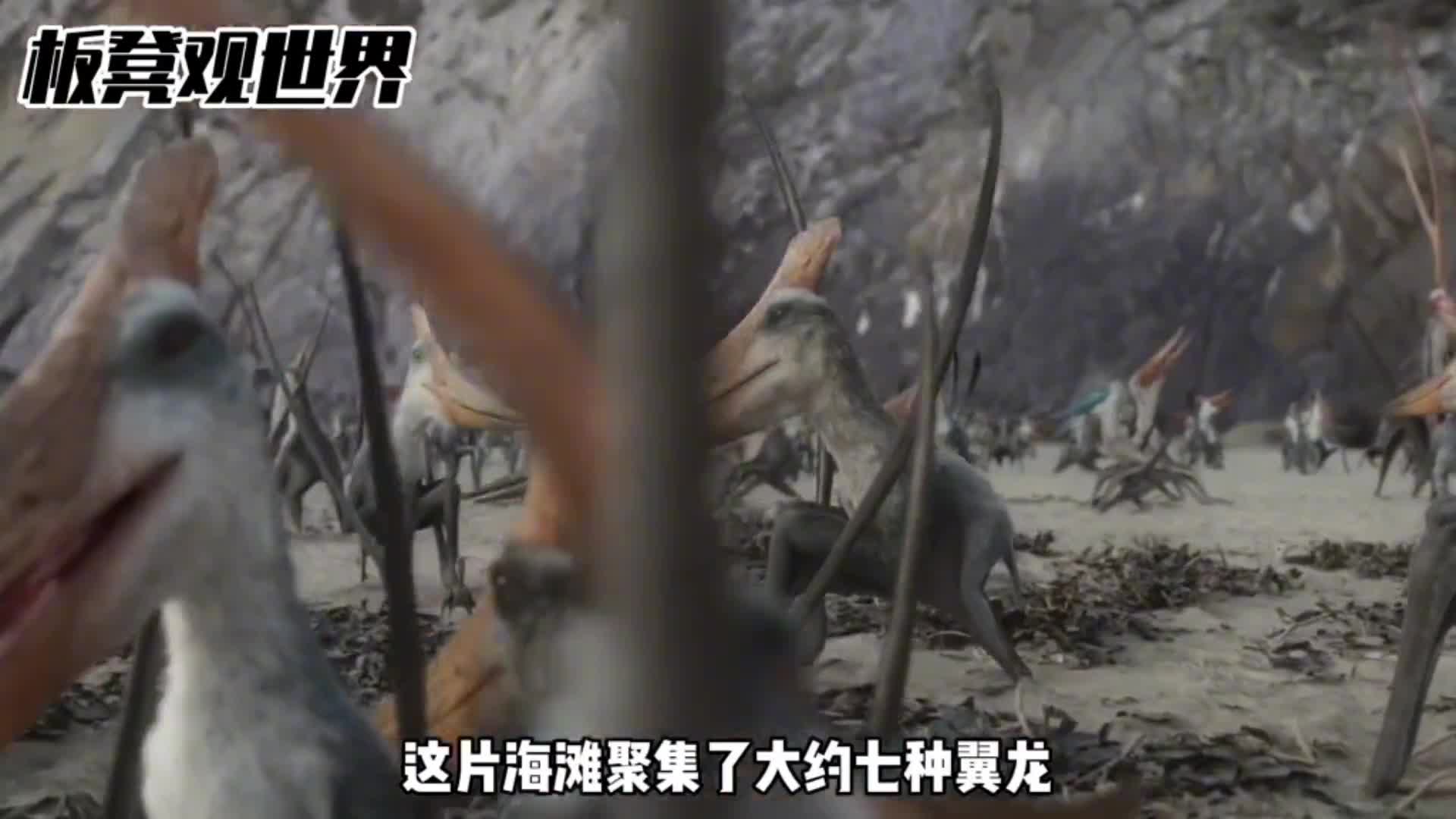 回到恐龙时代简直萌化了