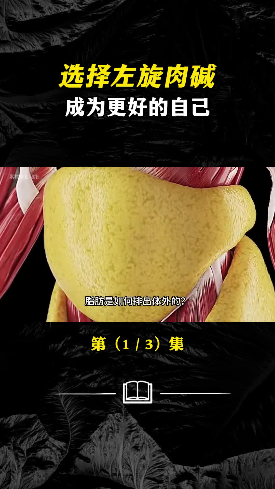 锻炼后身体会发生哪些变化你为什么健身没效果