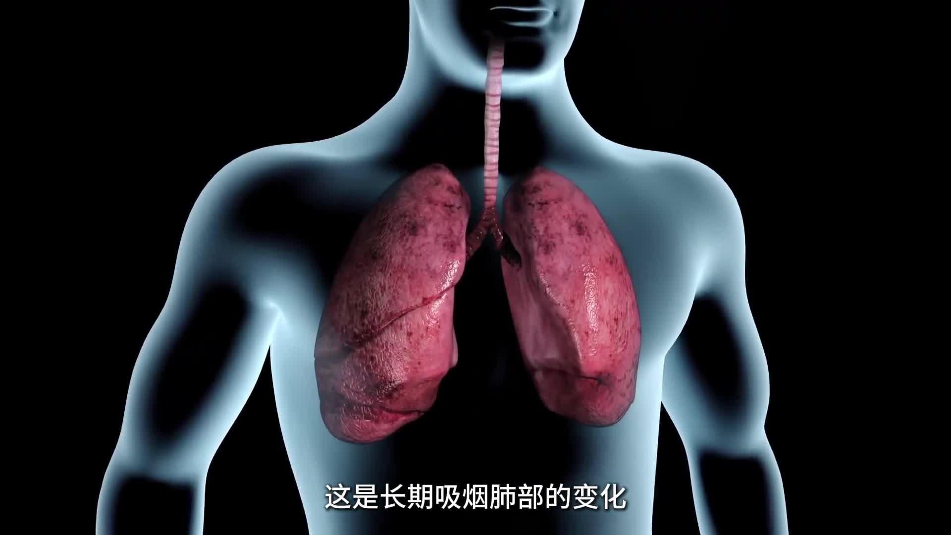 为什么烟会越抽越多带你看香烟的工作原理