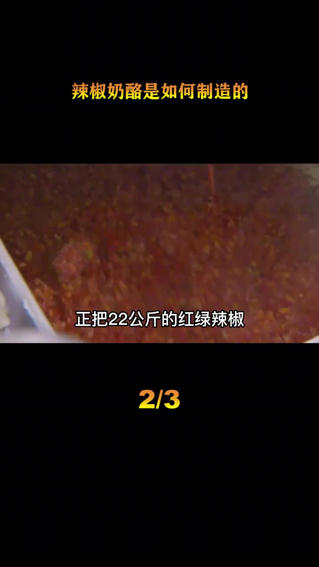 探访奶酪加工厂每天能生产2000多吨奶酪一桶要加入数百斤辣椒