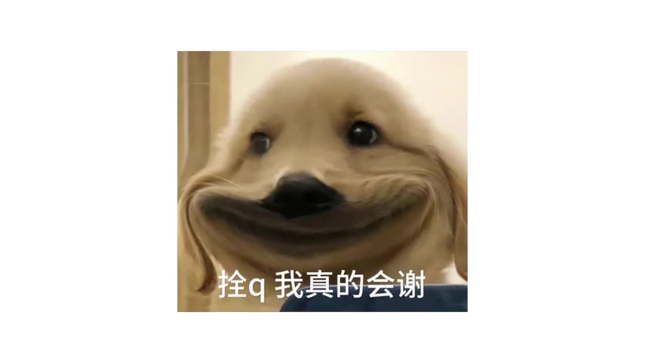 520都过完了521你还不带她来山东吗