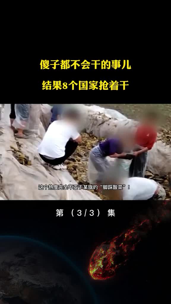 脑子稍微正常一点都不会干的事从北极运冰到非洲有8个国家干