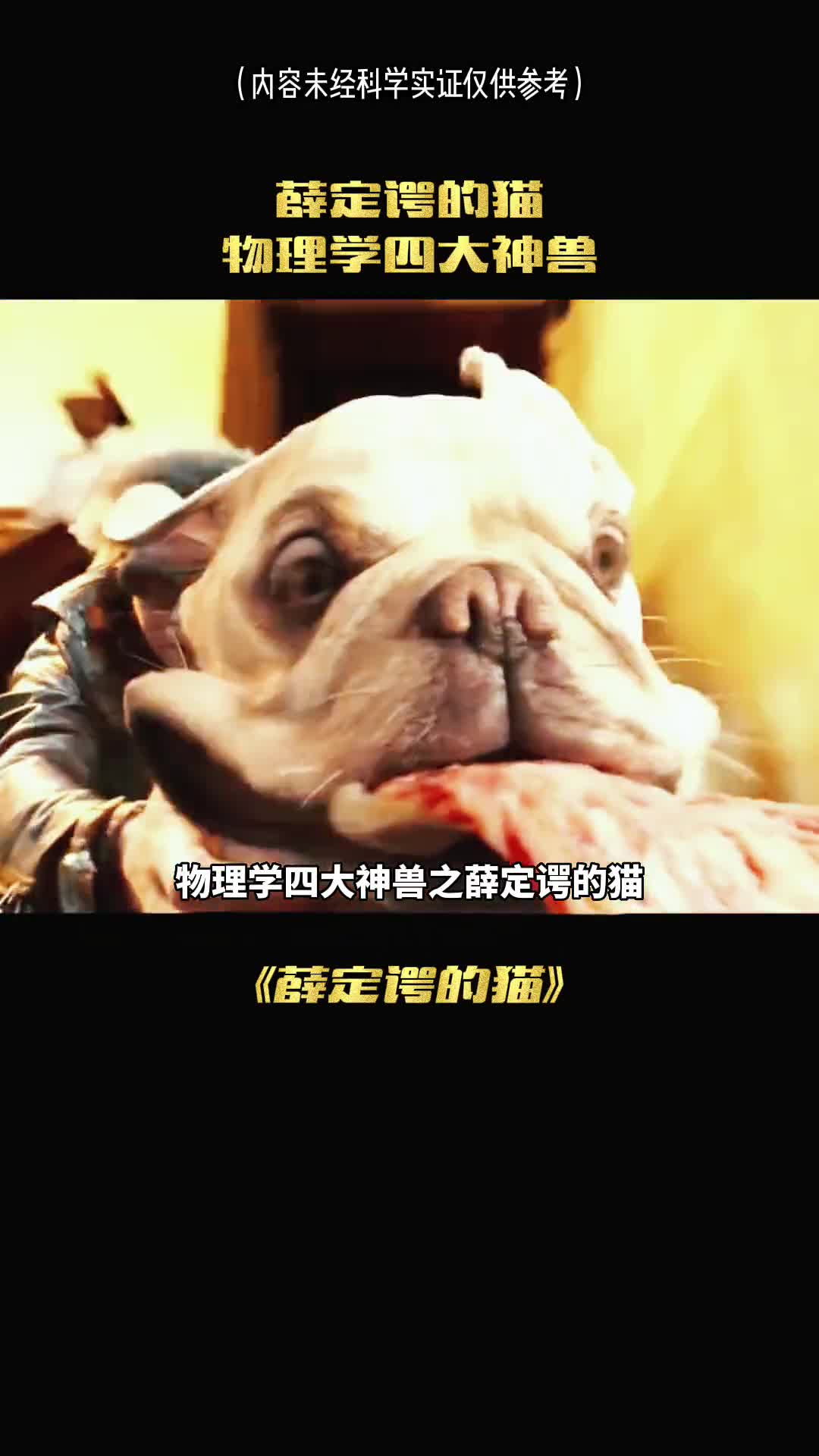 物理学四大神兽之一薛定谔的猫