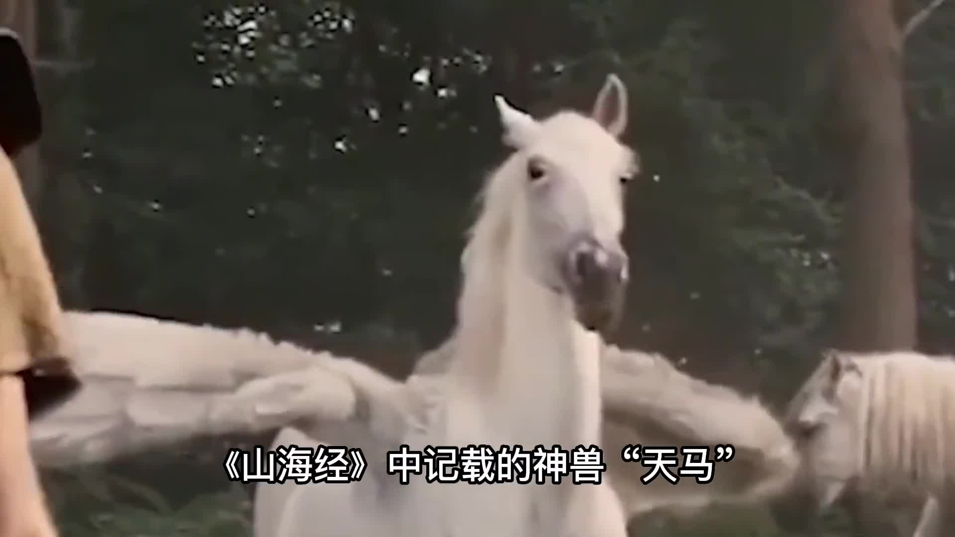 山海经记载的神兽竟然现身湖北这究竟意味什么