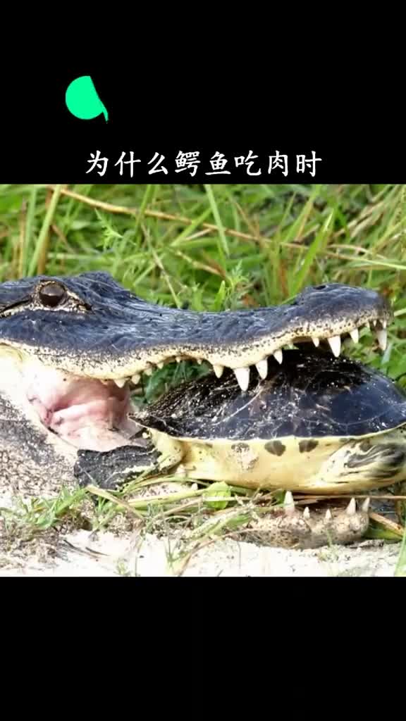 也有可能是咬着舌头了