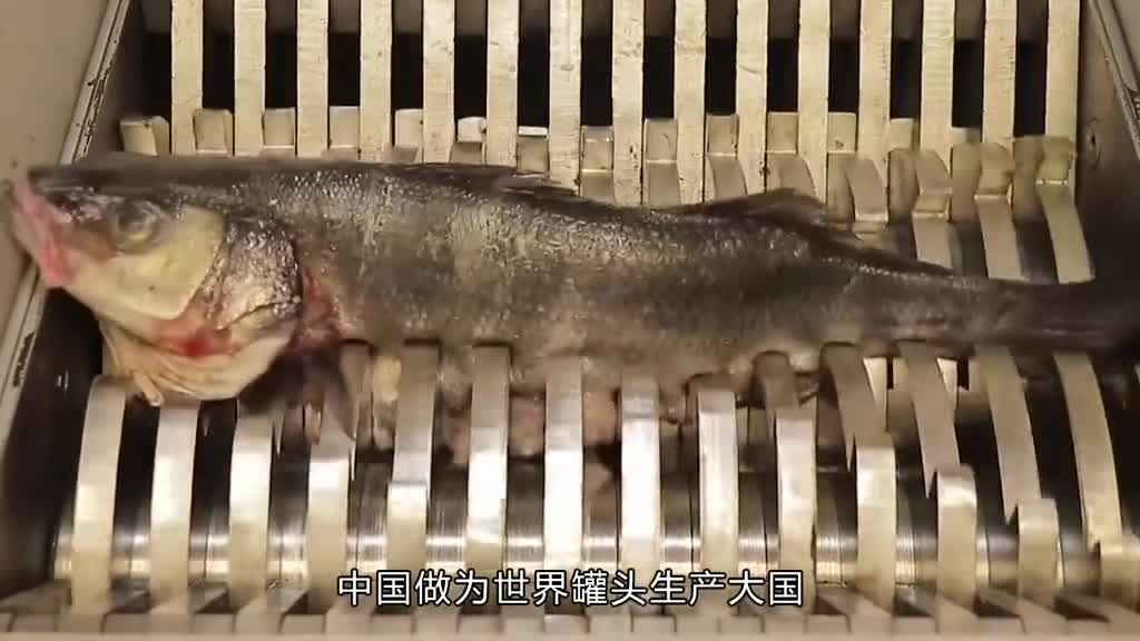 全世界的人都喜欢吃罐头为什么就咱们不喜欢吃