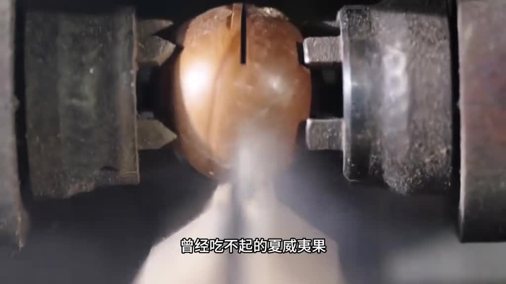 你吃过夏威夷果吗