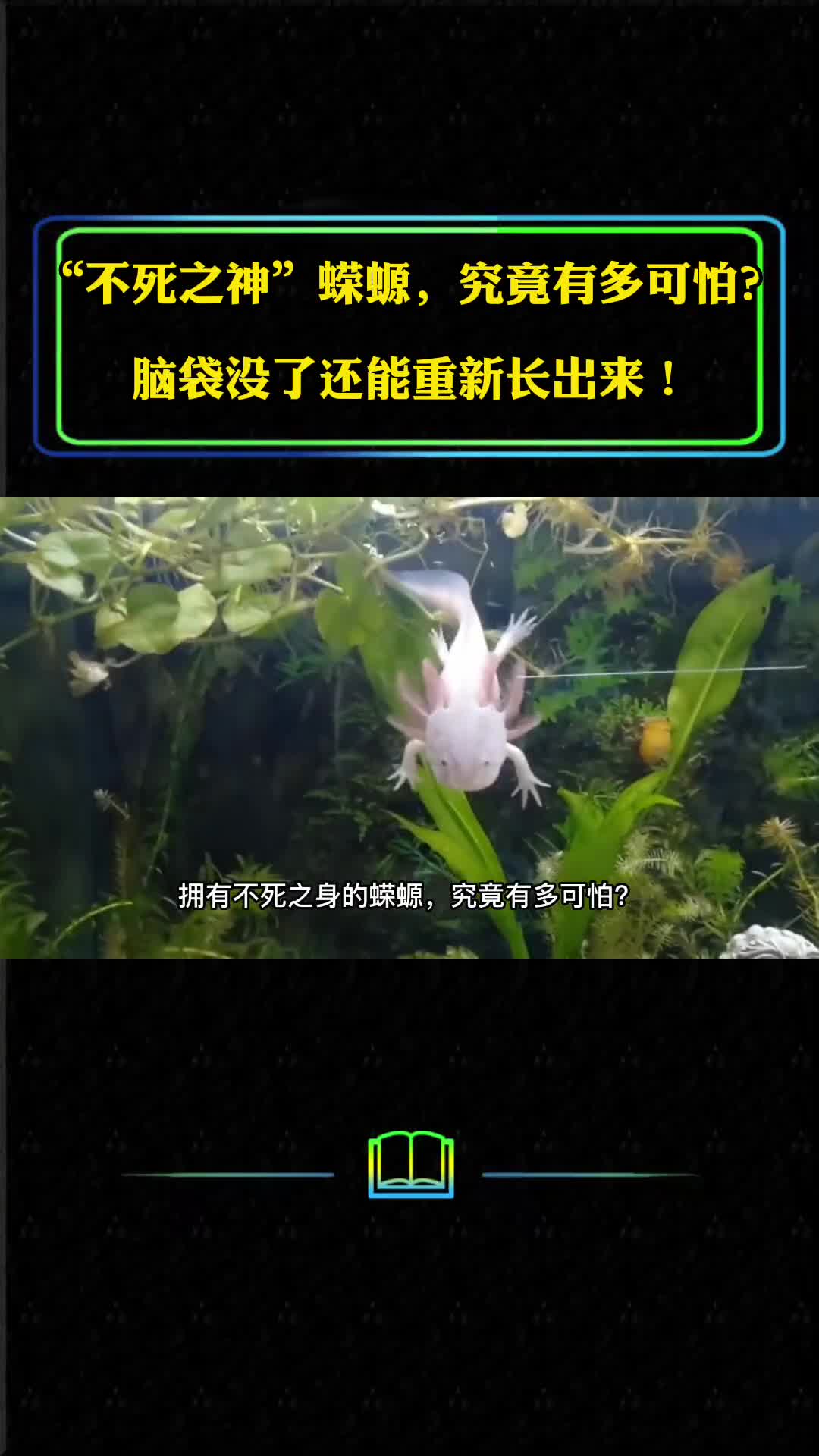 不死之神蝾螈究竟有多可怕脑袋没了还能重新长出来