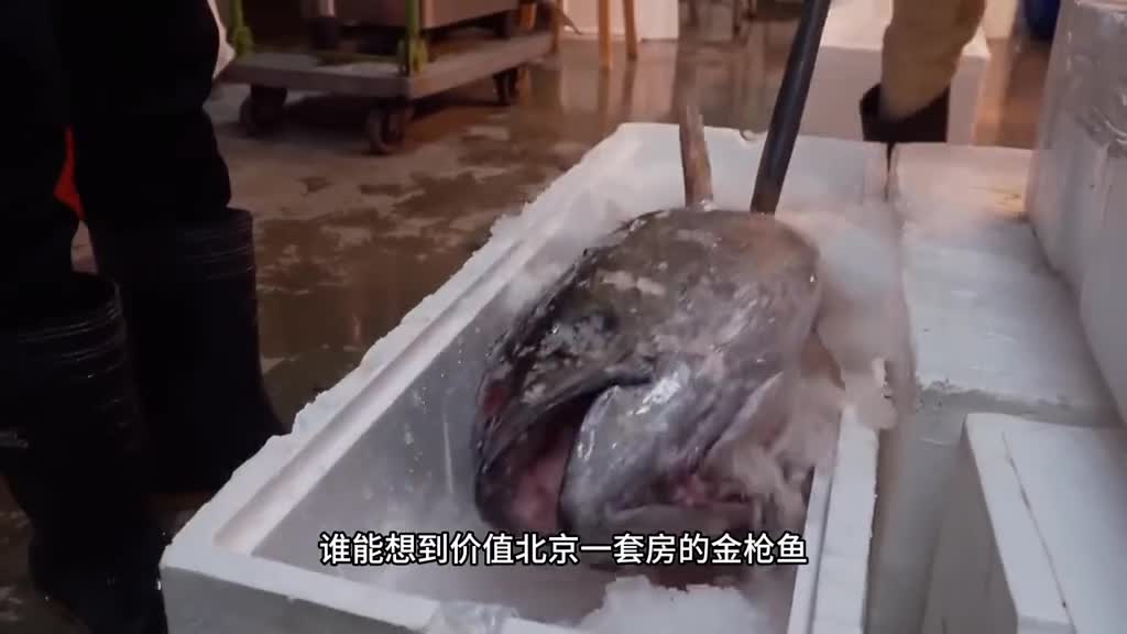 谁说金枪鱼要做成刺身才好吃的做成罐头也一样美味用来夹面包或拌饭简直不要太好吃