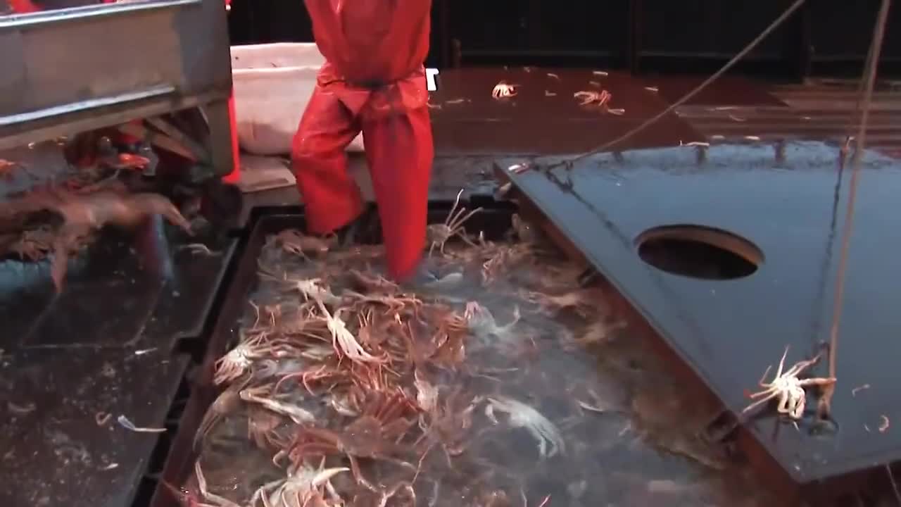 老婆饼里没老婆而蟹柳里面真的有蟹肉