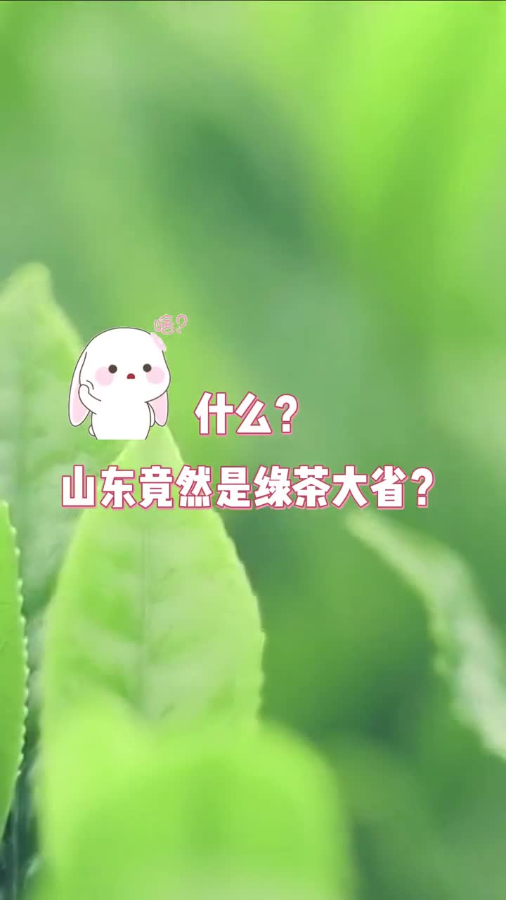 中国茶申遗成功啦作为我国最北边的产茶区山东竟然有这么多种类的绿茶快来看看有你家乡的茶叶吗