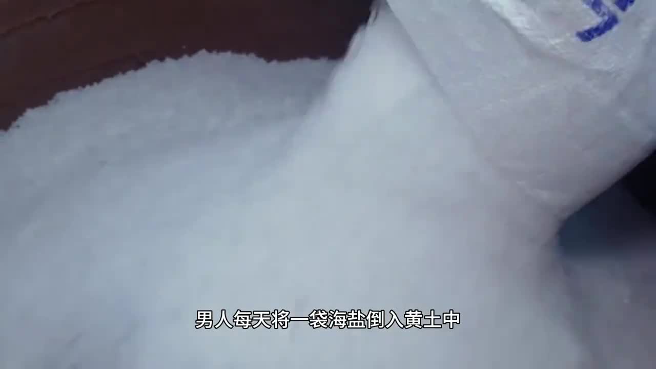 原来蛋黄酥是这样制作的难怪会如此美味外皮酥脆内里咸香全部真材实料