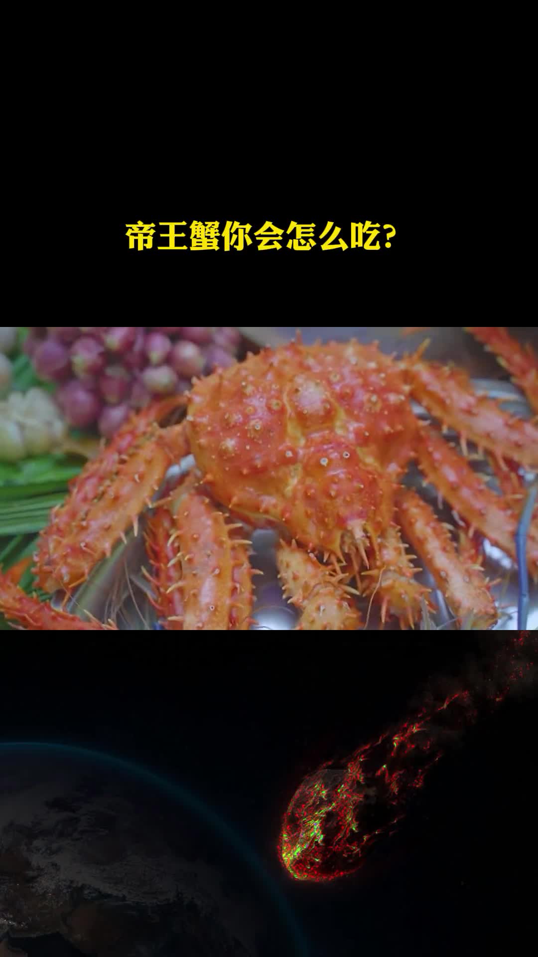 丛林求生越南哥俩野外吃帝王蟹吃相令人咋舌