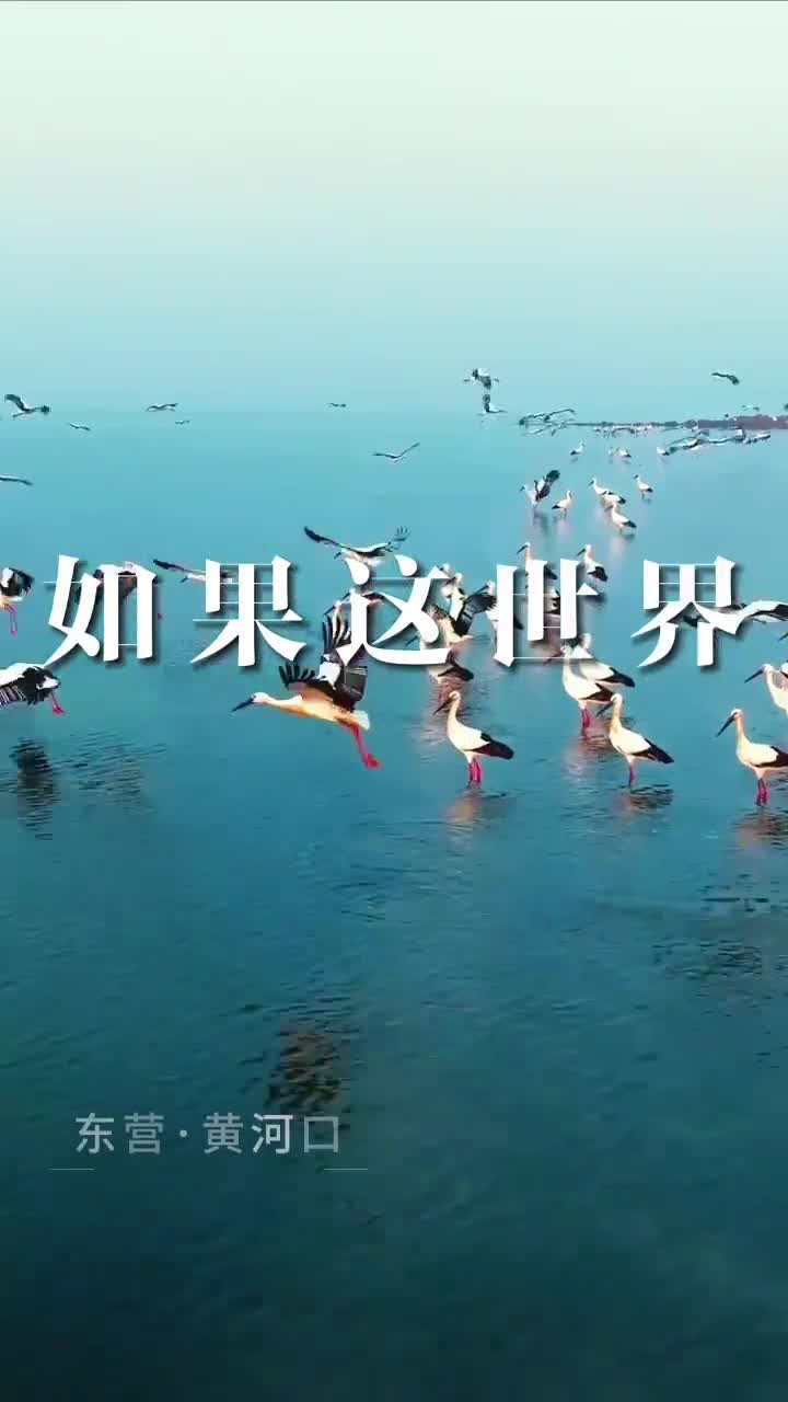 冬天里最浪漫的事就是与你相遇快看越冬小精灵们回家啦