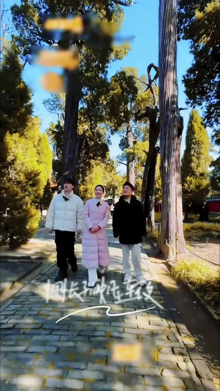 与辉同行走进孟庙银杏之美让人流连忘返