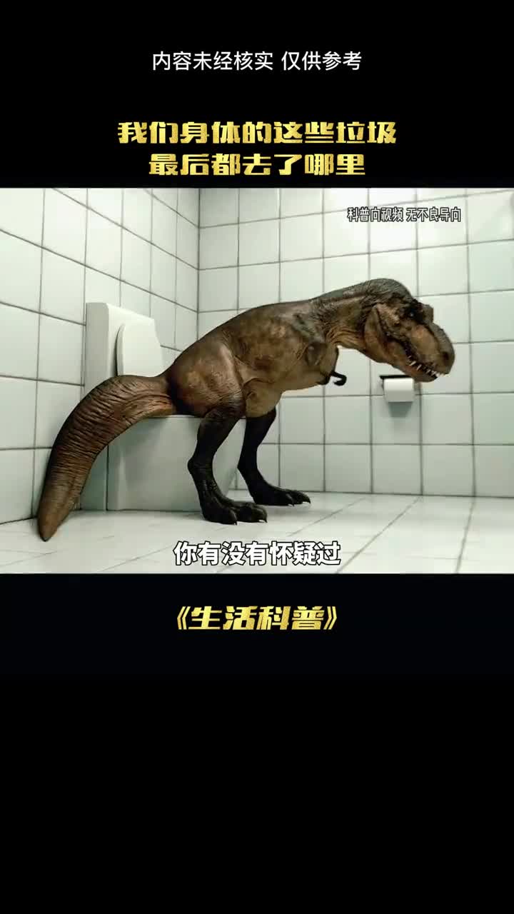 我们肚子里的垃圾都去了哪