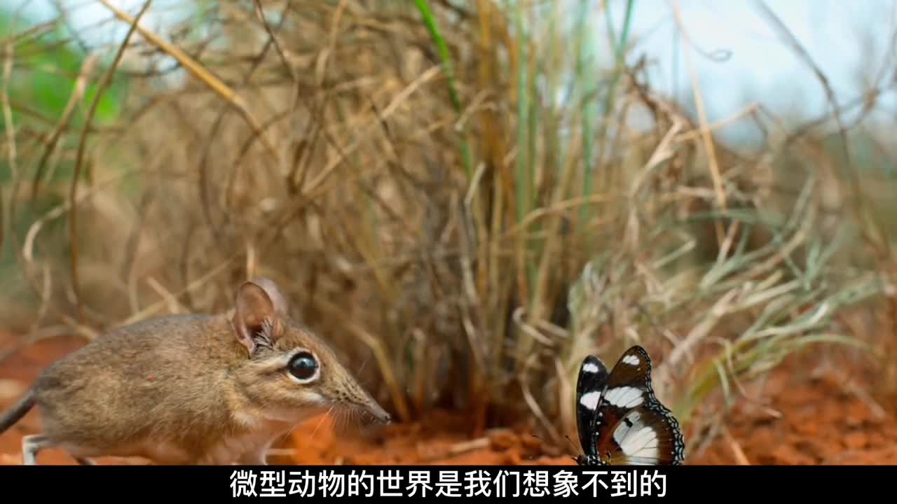 微观世界大不一样