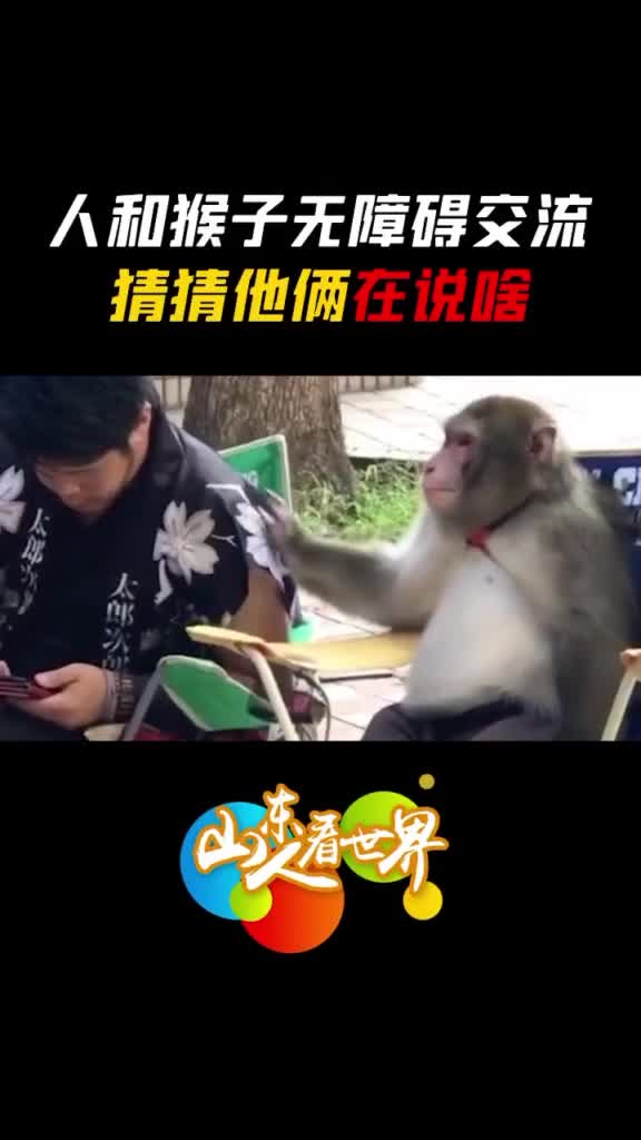 哥俩聊得不错火锅还是别出去吃了咱点外卖吧