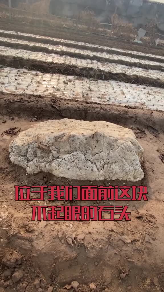 世界上最小的山不到一米高竟然就在山东很多人以为是石头