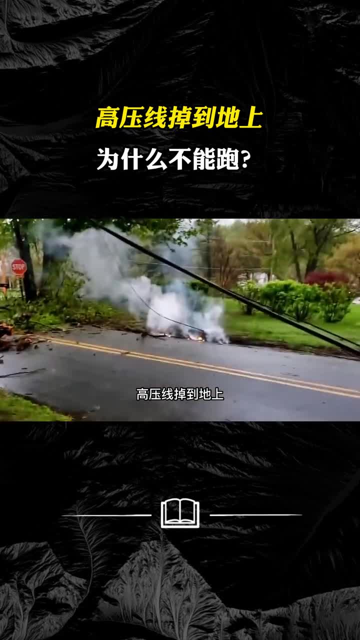 大部分的人都不知道高压线掉到地上为什么不能跑