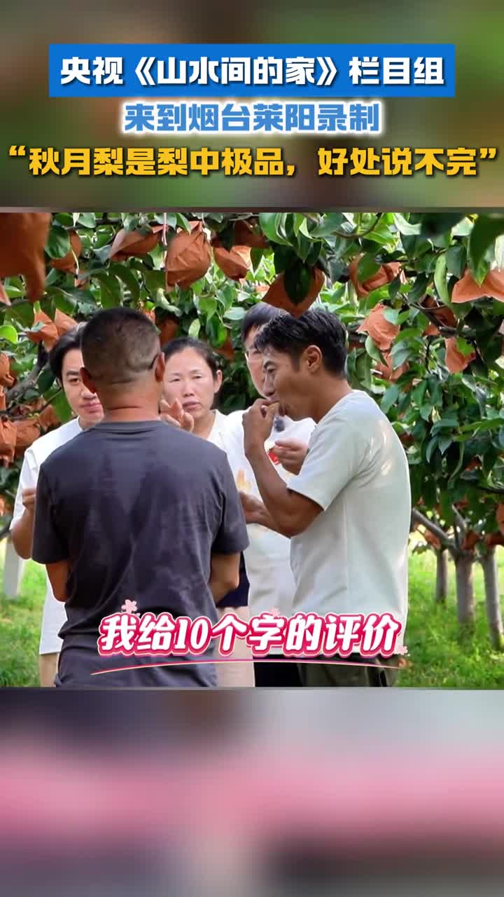 央视山水间的家栏目组来到烟台莱阳录制秋月梨是梨中极品好处说不完