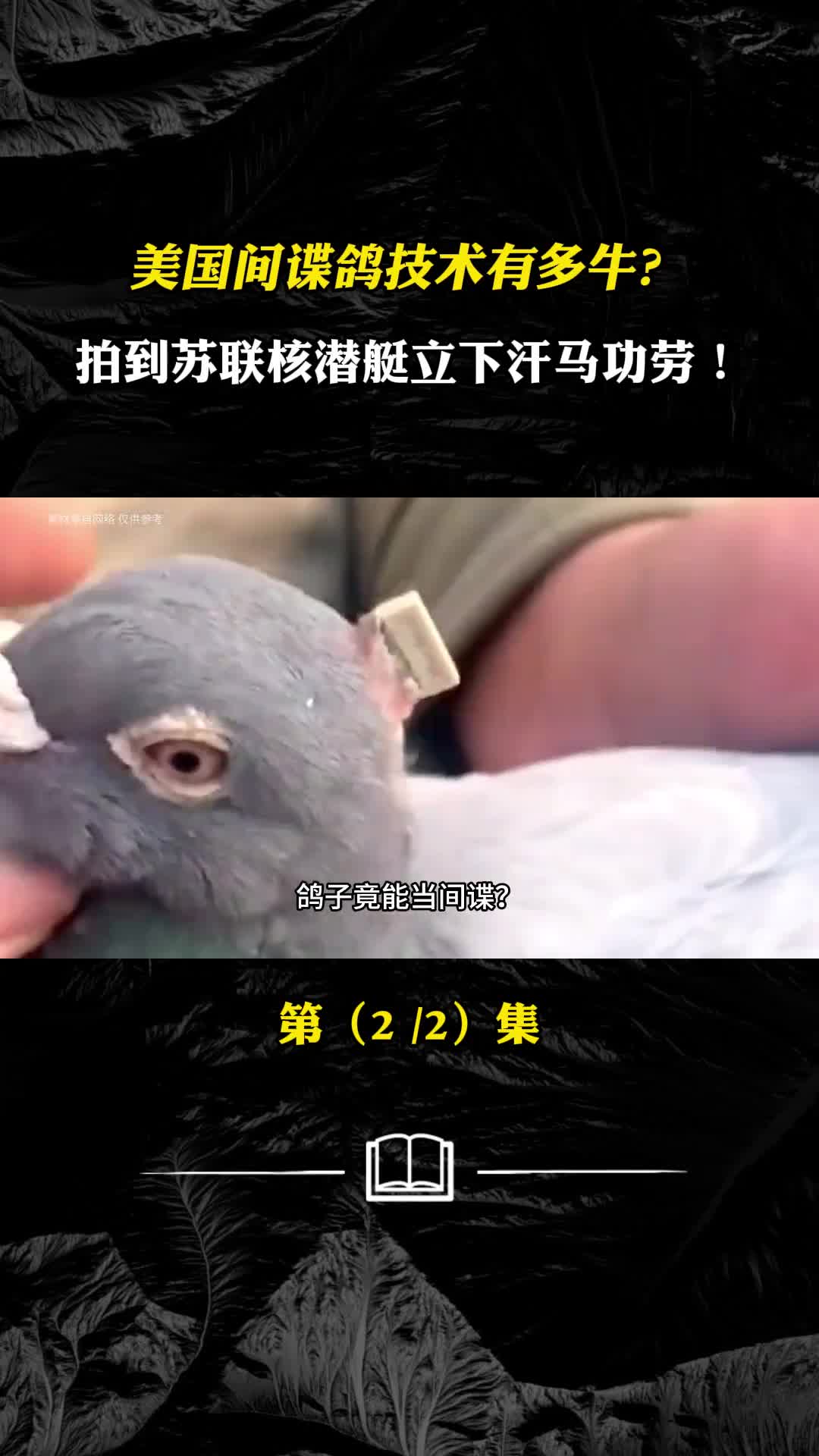 美国间谍鸽技术有多牛拍到苏联核潜艇为制造者立下汗马功劳