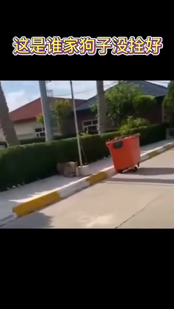 不好意思打扰了