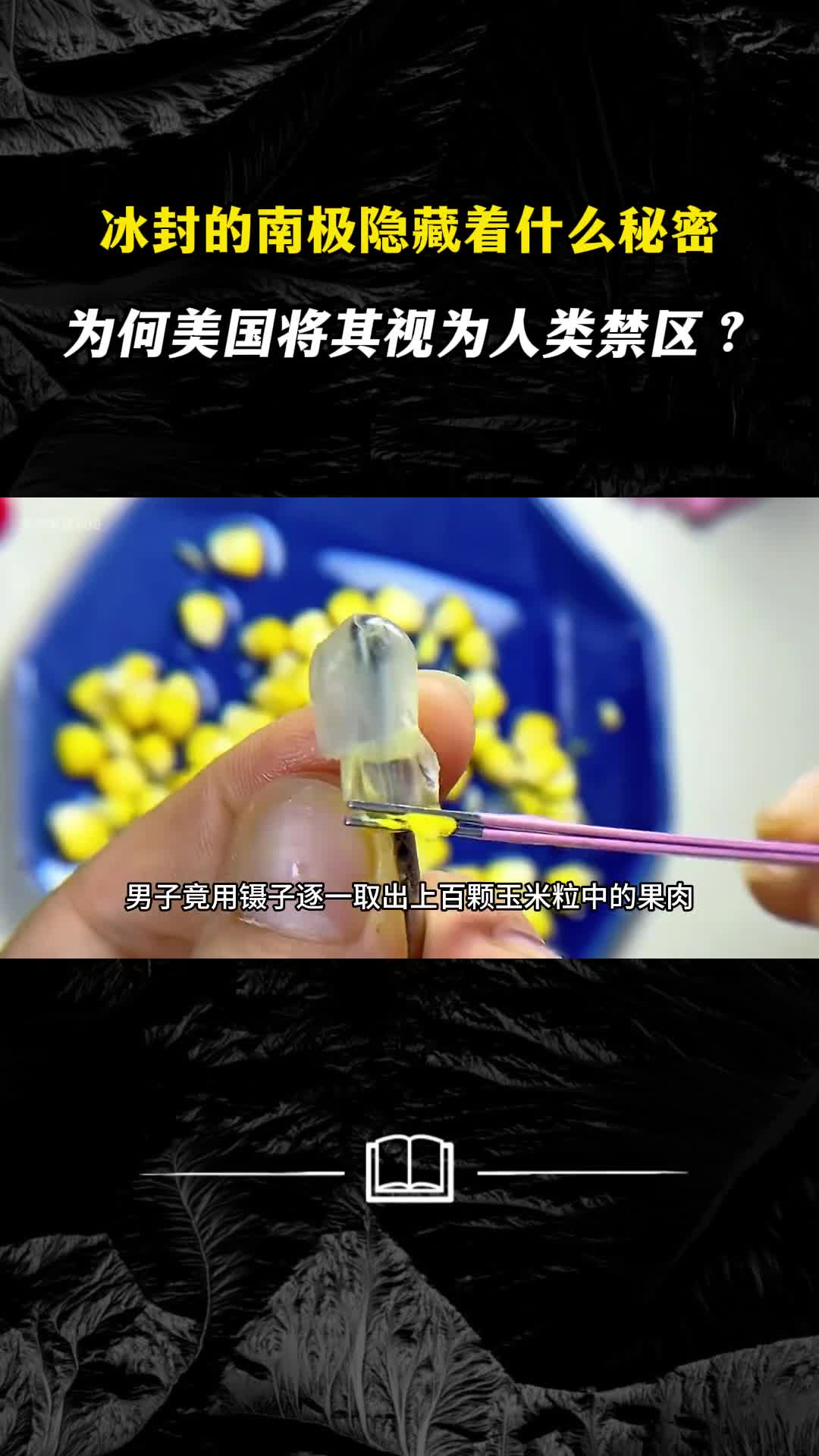 用价值500万的玉米收割机会是什么样的震撼画面