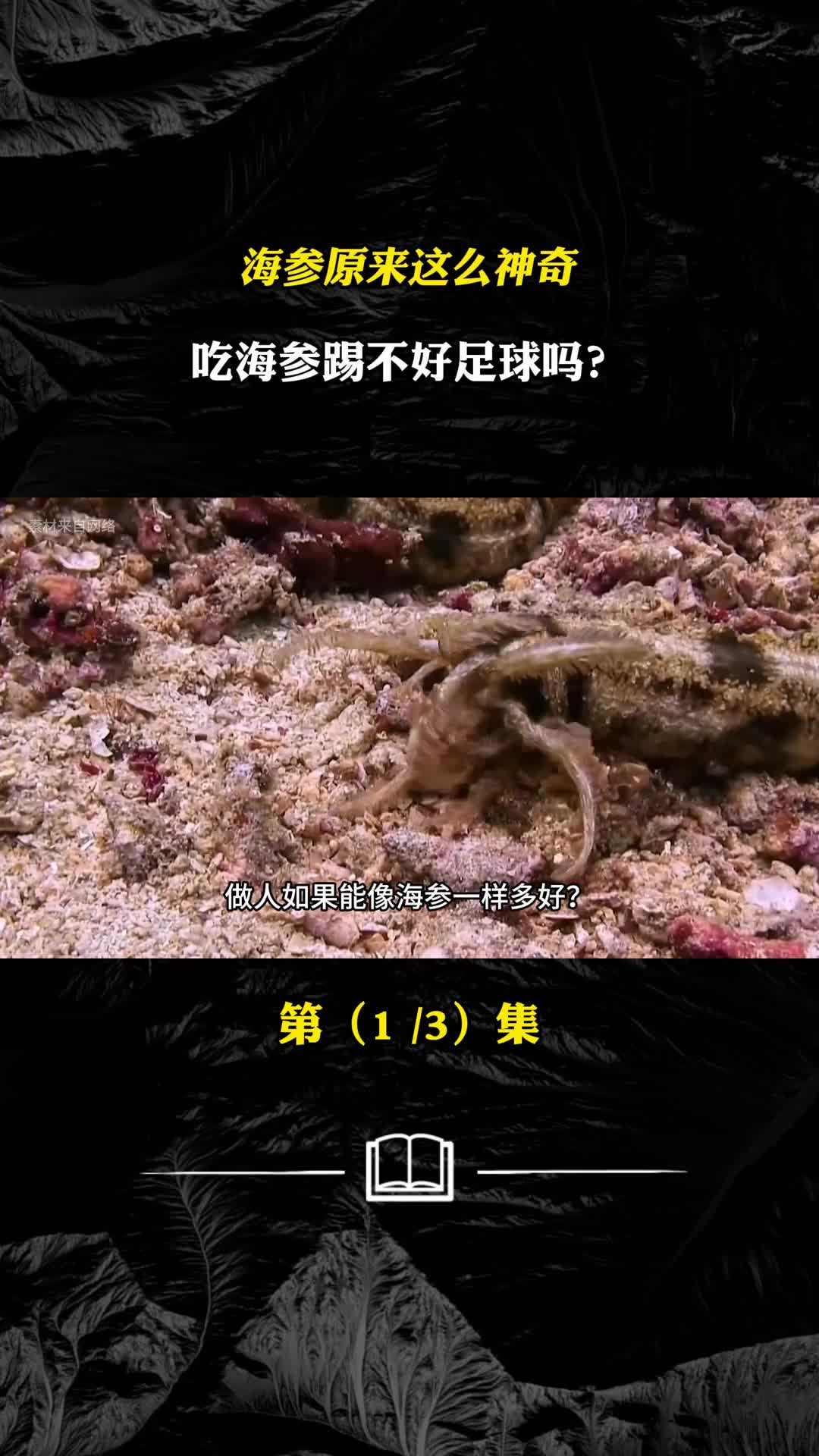 顶级海参12万一斤国足每天都吃为何还踢不进世界杯