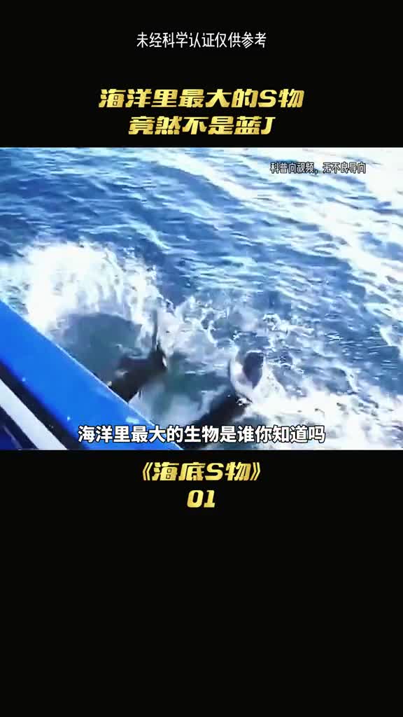 精彩后续已更新抖音嗖优视看点进入后输入口令1888抢先看后续