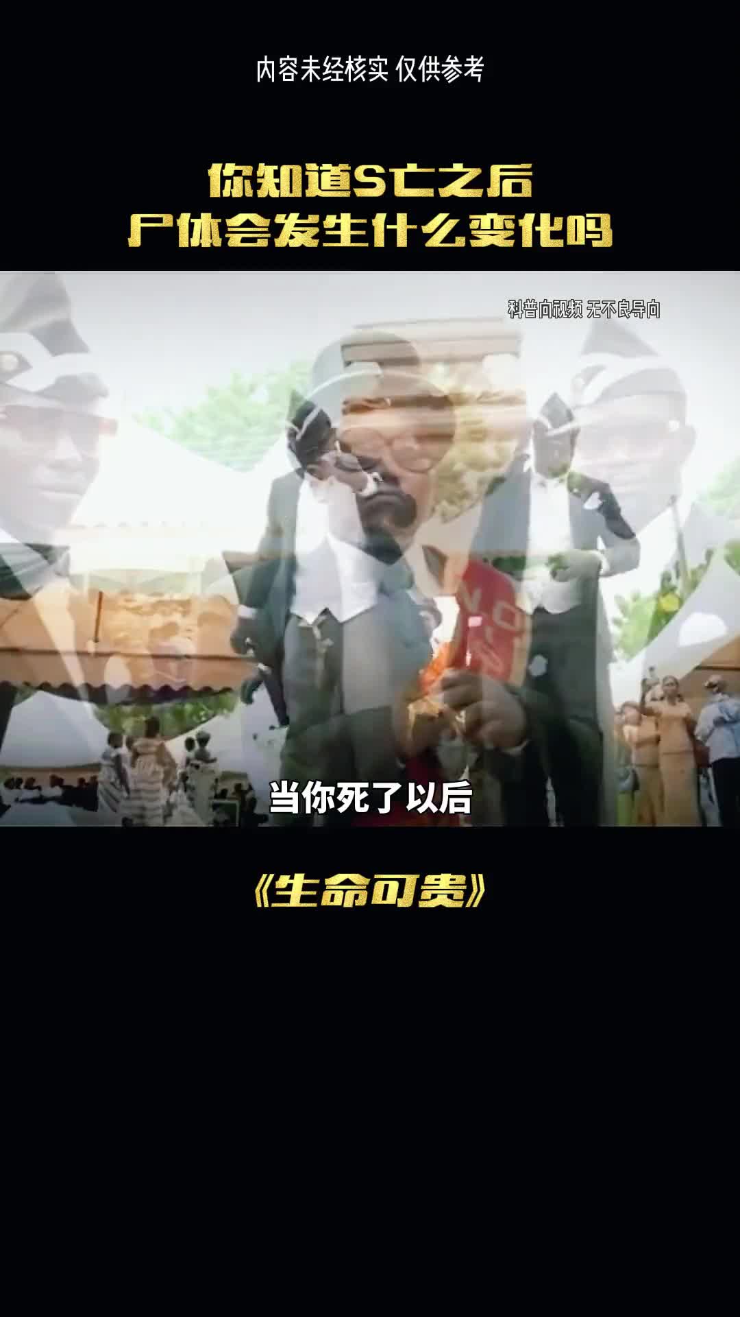 生命的可贵珍惜当下