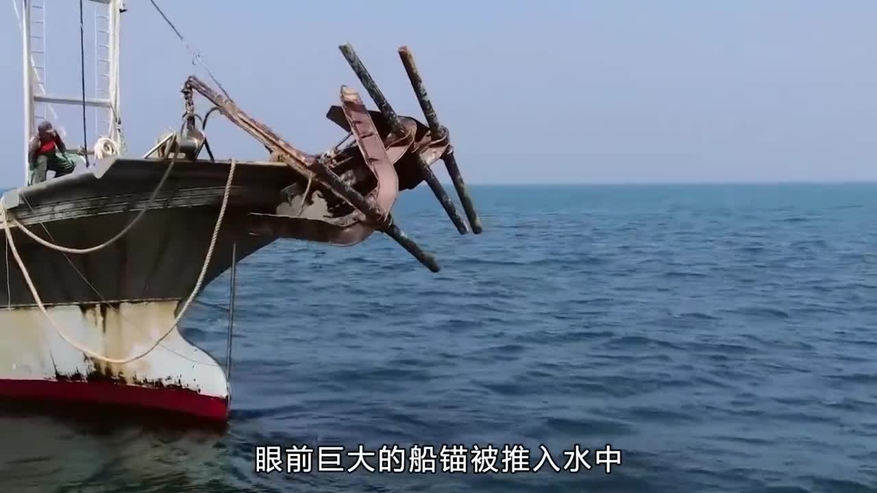 为什么你买到的带鱼都是冷冻的