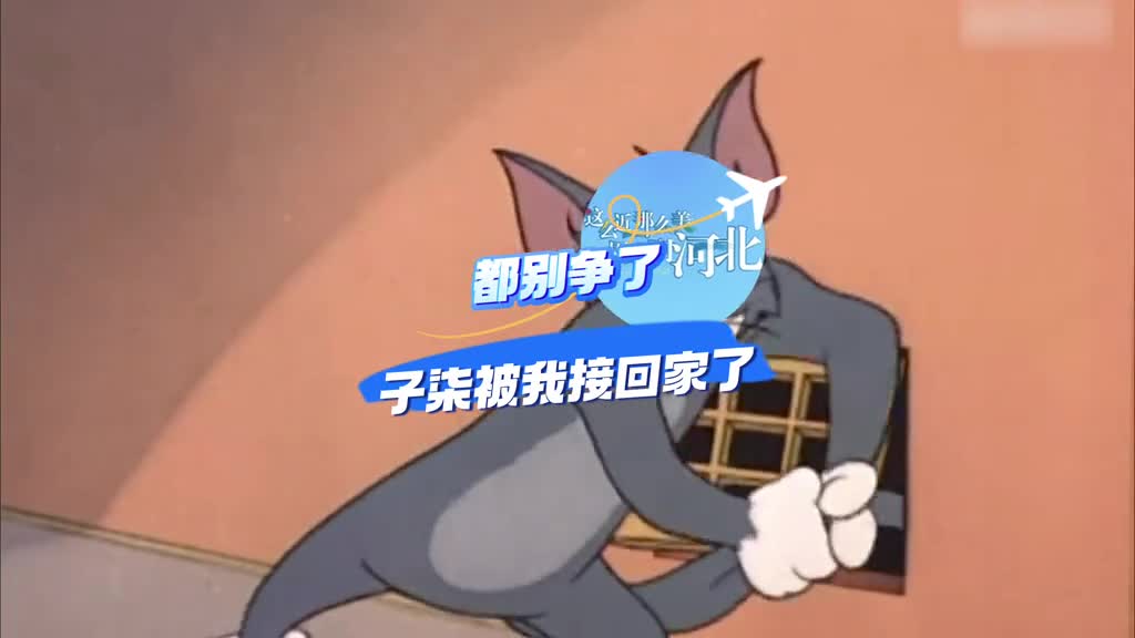 四川文旅河北文旅都不要再争了子柒被我接回家了