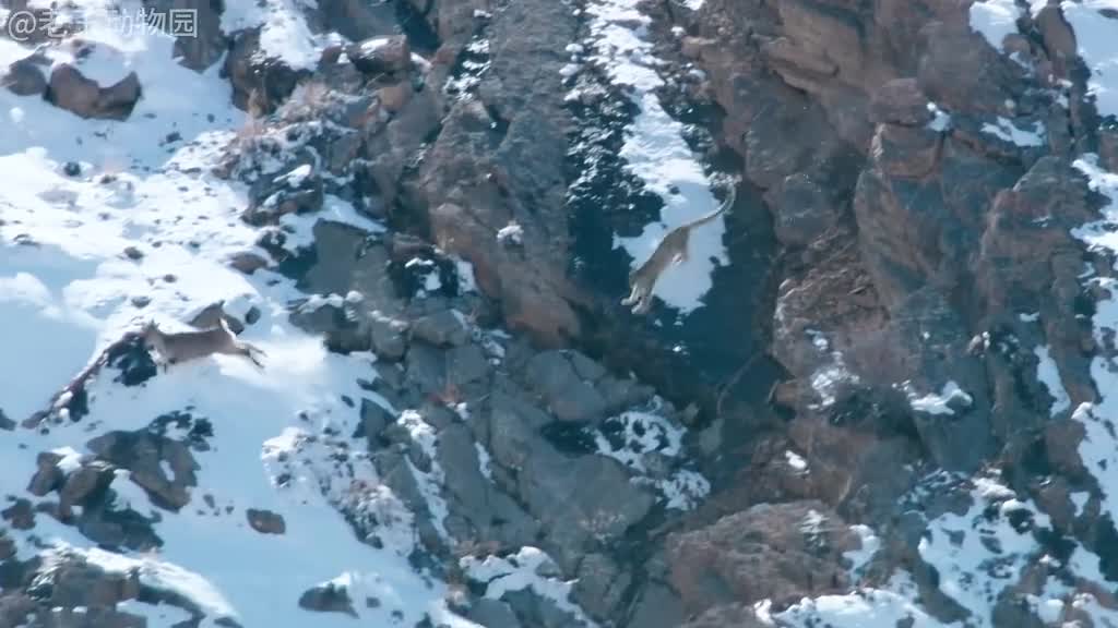 问世间情为何物直教人把持不住