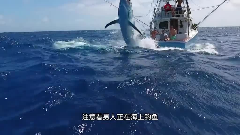 鱼油是如何制作的