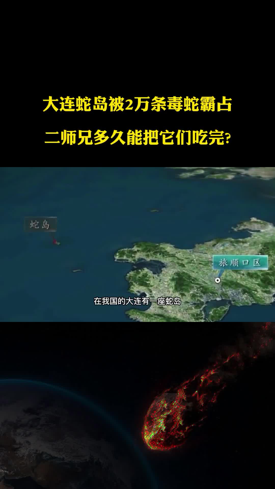 大连蛇岛被2万条毒蛇霸占二师兄多久能把它们吃完