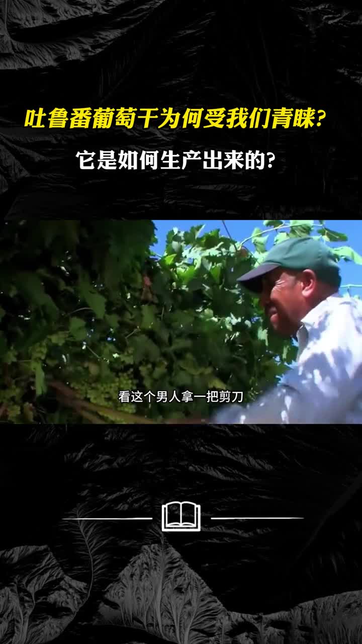 吐鲁番葡萄干为何受我们青睐它是如何生产出来的
