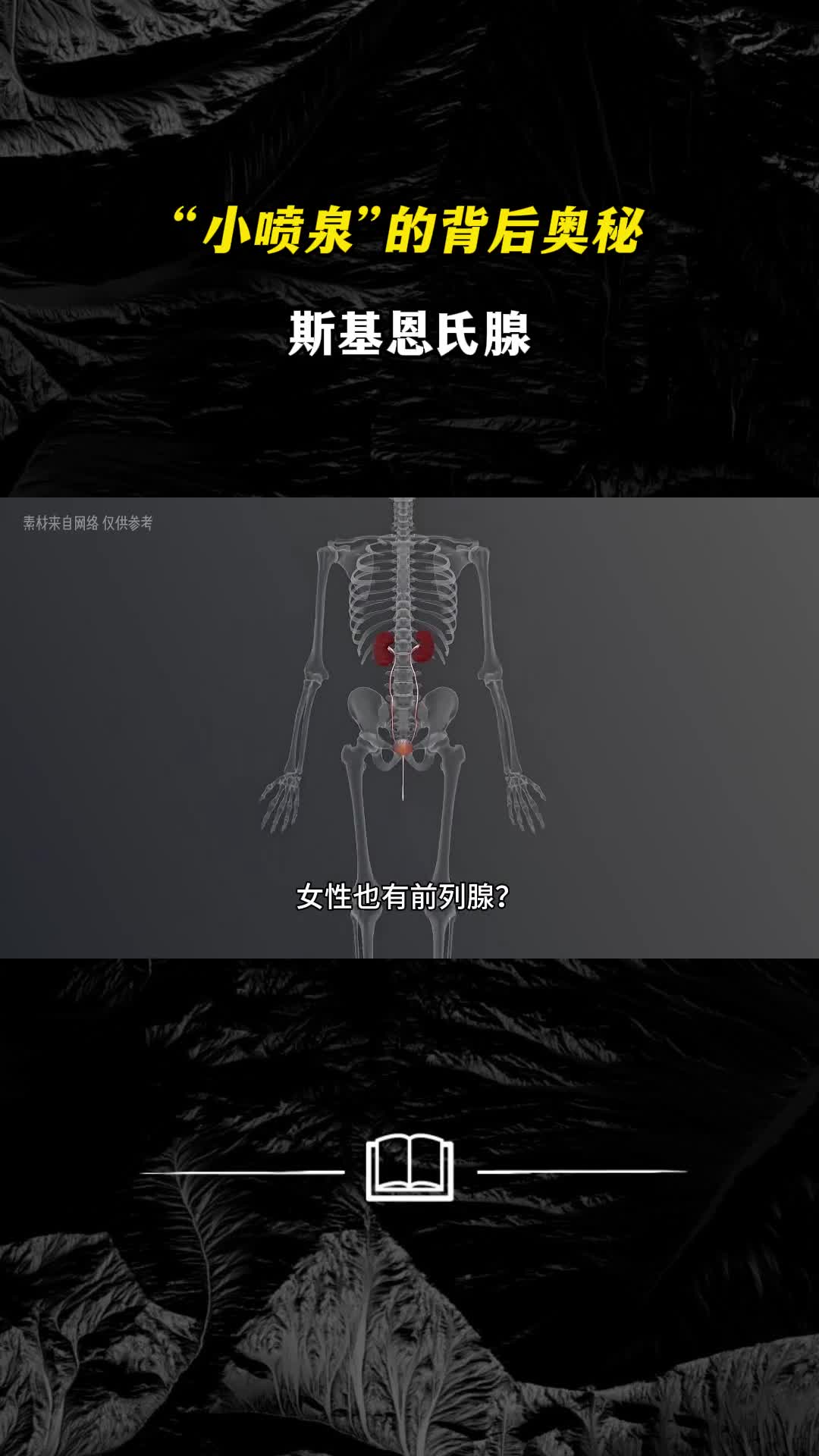 女人小喷泉的背后奥秘斯基恩氏腺