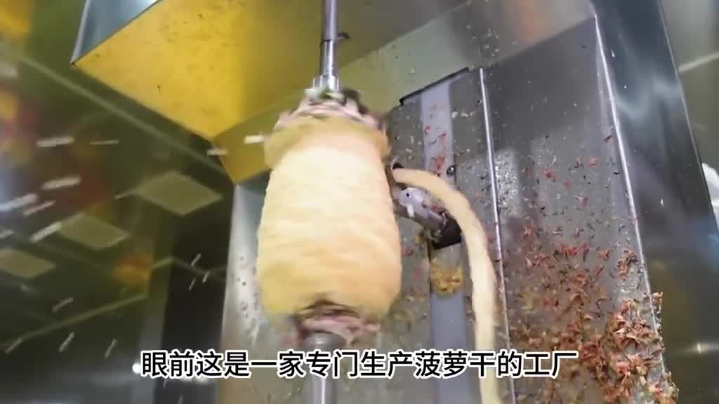 揭秘菠萝加工厂每天加工2000斤的菠萝到底干不干净